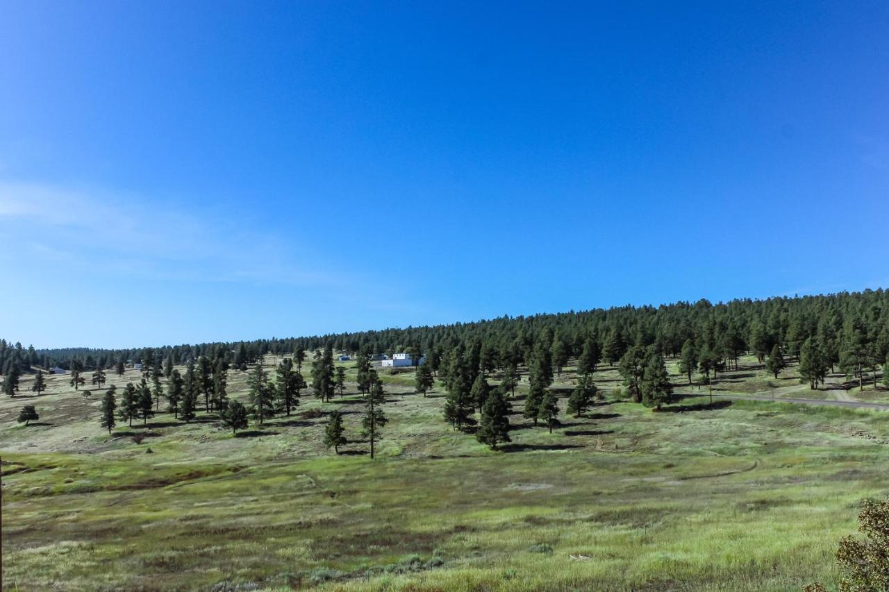 פגוסה ספרינגס Split Pine Cabin מראה חיצוני תמונה